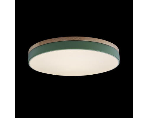 Купить Детский светильник LOFT IT 10001/36 Green| VIVID-LIGHT.RU