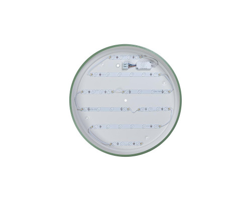 Купить Детский светильник LOFT IT 10001/36 Green| VIVID-LIGHT.RU