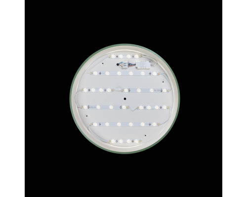 Купить Детский светильник LOFT IT 10001/36 Green| VIVID-LIGHT.RU