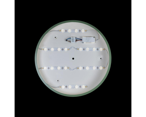 Заказать Детский светильник LOFT IT 10002/24 Green| VIVID-LIGHT.RU