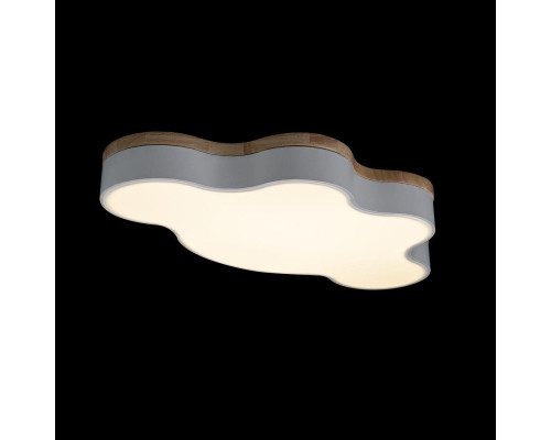 Заказать Детский светильник LOFT IT 10005/36 White| VIVID-LIGHT.RU