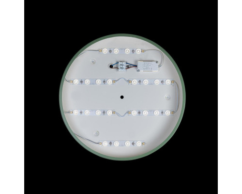 Оформить заказ Детский светильник LOFT IT 10003/24 Green| VIVID-LIGHT.RU