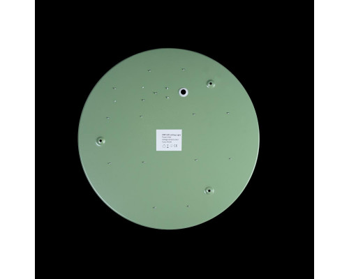 Оформить заказ Детский светильник LOFT IT 10003/24 Green| VIVID-LIGHT.RU