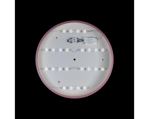 Заказать Детский светильник LOFT IT 10003/24 Pink| VIVID-LIGHT.RU