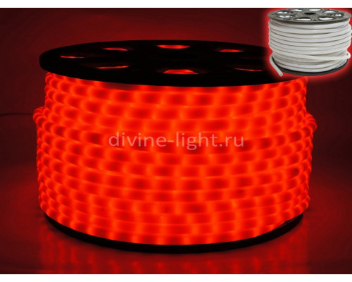 Заказать Дюралайт Rich LED RL-DL-2WHM-100-240-R| VIVID-LIGHT.RU