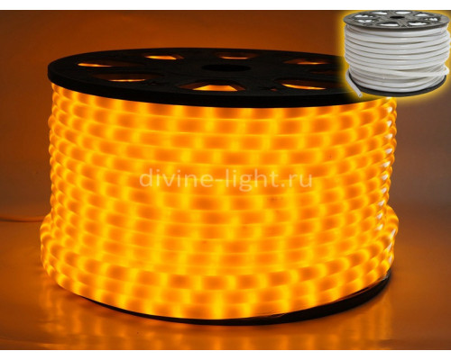 Купить Дюралайт Rich LED RL-DL-2WHM-100-240-Y| VIVID-LIGHT.RU