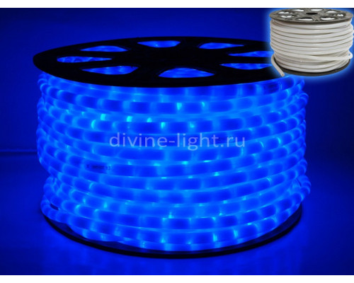 Оформить заказ Дюралайт Rich LED RL-DL-2WHM-100-240-B| VIVID-LIGHT.RU