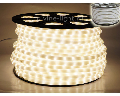 Сделать заказ Дюралайт Rich LED RL-DL-2WHM-100-240-WW| VIVID-LIGHT.RU