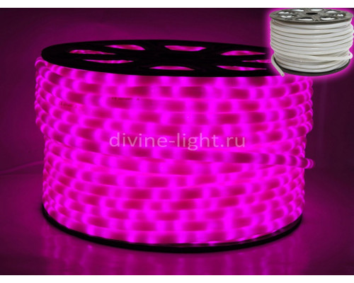 Купить Дюралайт Rich LED RL-DL-2WHM-100-240-P| VIVID-LIGHT.RU