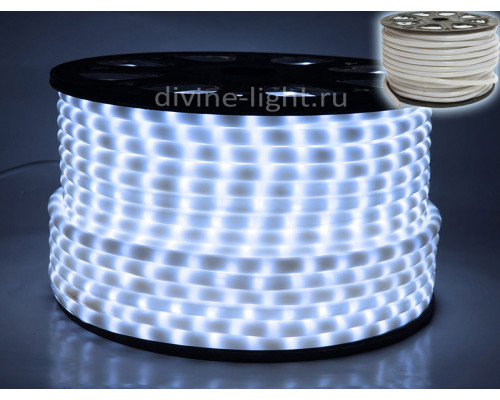 Купить Дюралайт Rich LED RL-DL-2WH-100-240-W| VIVID-LIGHT.RU