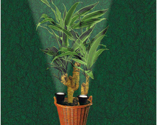 Оформить заказ Грунтовый светильник Paulmann 50325| VIVID-LIGHT.RU