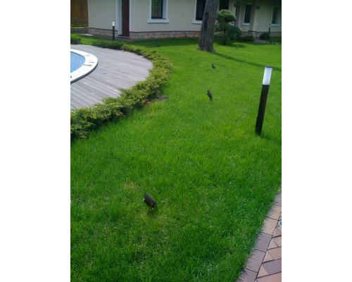 Заказать Грунтовый светильник LD-Lighting LD-CO29 220V| VIVID-LIGHT.RU