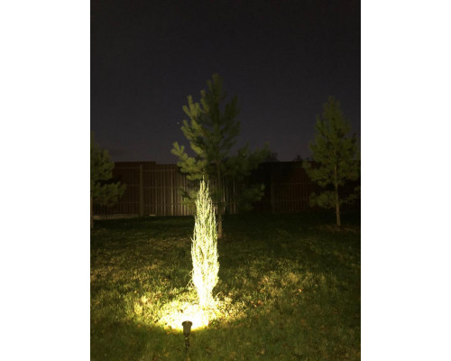 Купить Грунтовый светильник Covali FL-33005| VIVID-LIGHT.RU