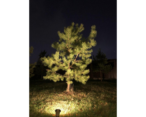 Купить Грунтовый светильник Covali FL-33005| VIVID-LIGHT.RU