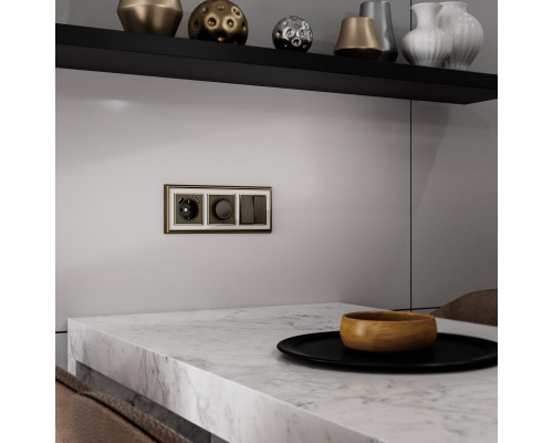 Заказать Клавиша Werkel W1129012| VIVID-LIGHT.RU