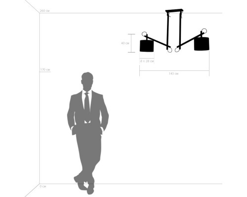 Купить Люстра на штанге Lightstar 766029| VIVID-LIGHT.RU