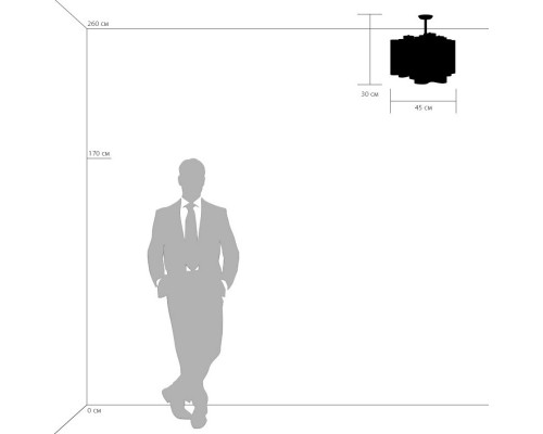 Купить Люстра на штанге Lightstar 802031| VIVID-LIGHT.RU