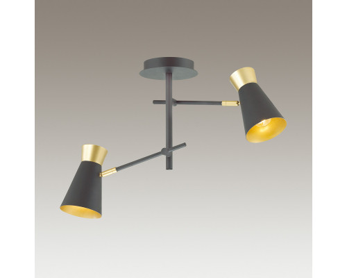 Заказать Люстра на штанге LUMION 3790/2C| VIVID-LIGHT.RU