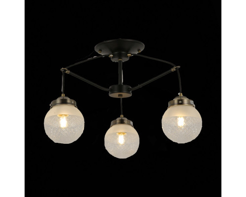 Сделать заказ Люстра на штанге Evoluce SLE110302-03| VIVID-LIGHT.RU