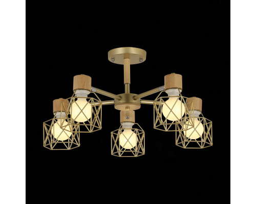 Купить Люстра на штанге Evoluce SLE110402-05| VIVID-LIGHT.RU