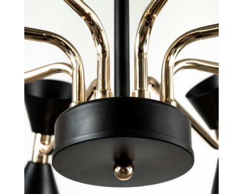 Оформить заказ Люстра на штанге ARTE Lamp A2711PL-8BK| VIVID-LIGHT.RU