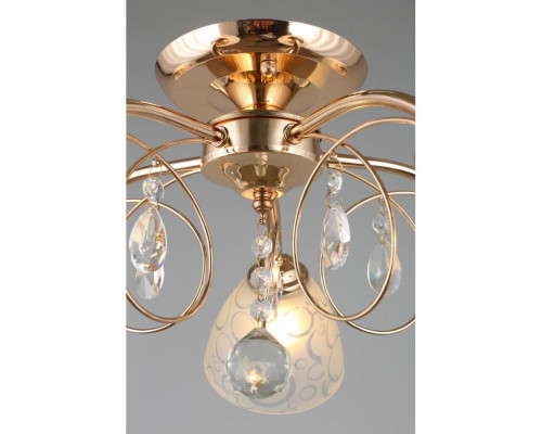 Оформить заказ Люстра на штанге Omnilux OML-29007-05| VIVID-LIGHT.RU