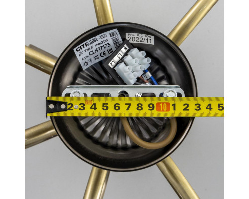 Оформить заказ Люстра на штанге Citilux CL417173| VIVID-LIGHT.RU