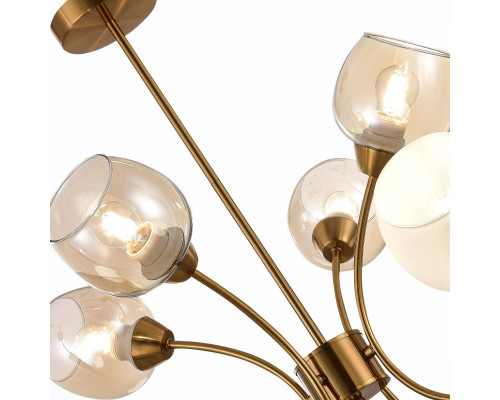 Купить Люстра на штанге Evoluce SLE1136-302-08| VIVID-LIGHT.RU