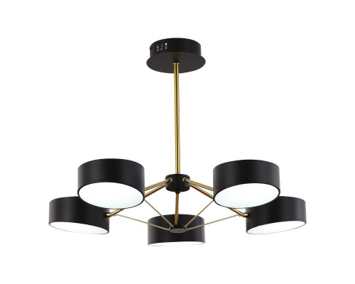 Оформить заказ Люстра на штанге Evoluce SLE6005-402-05| VIVID-LIGHT.RU