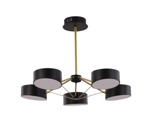 Оформить заказ Люстра на штанге Evoluce SLE6005-402-05| VIVID-LIGHT.RU