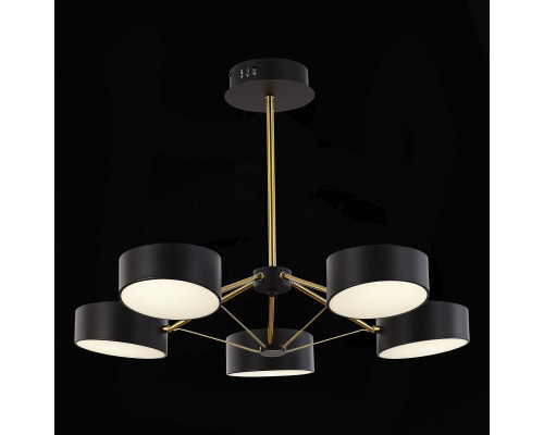 Оформить заказ Люстра на штанге Evoluce SLE6005-402-05| VIVID-LIGHT.RU