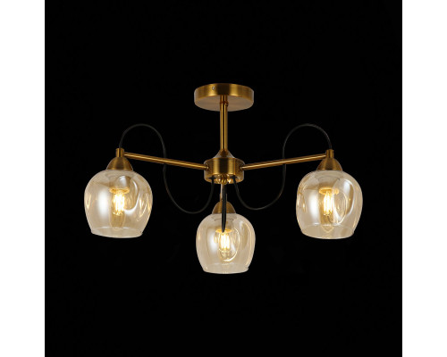 Сделать заказ Люстра на штанге Evoluce SLE110002-03| VIVID-LIGHT.RU