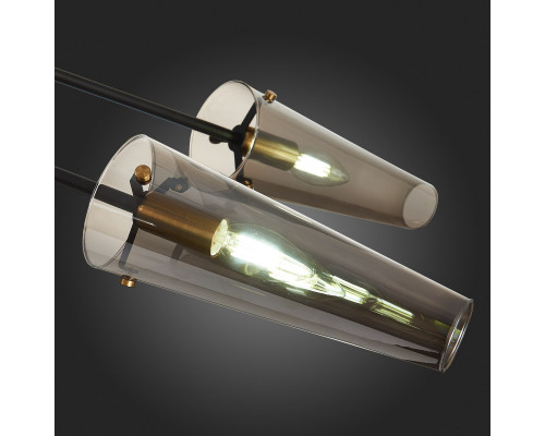 Заказать Люстра на штанге ST-Luce SL1209.302.06| VIVID-LIGHT.RU