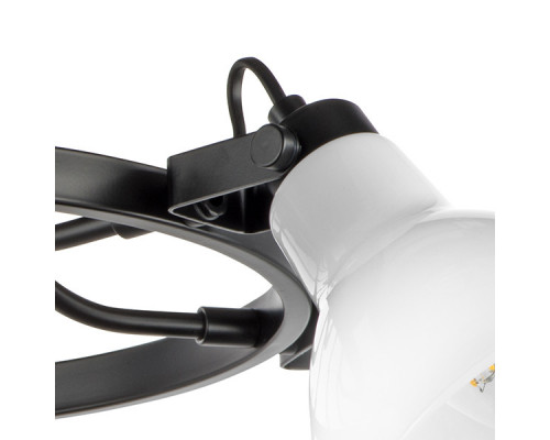 Заказать Люстра на штанге Lightstar 761060| VIVID-LIGHT.RU