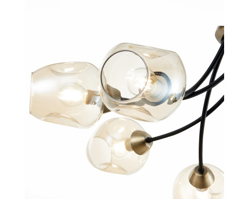 Заказать Люстра на штанге Evoluce SLE205302-06| VIVID-LIGHT.RU