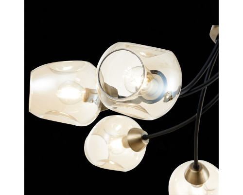 Заказать Люстра на штанге Evoluce SLE205302-06| VIVID-LIGHT.RU