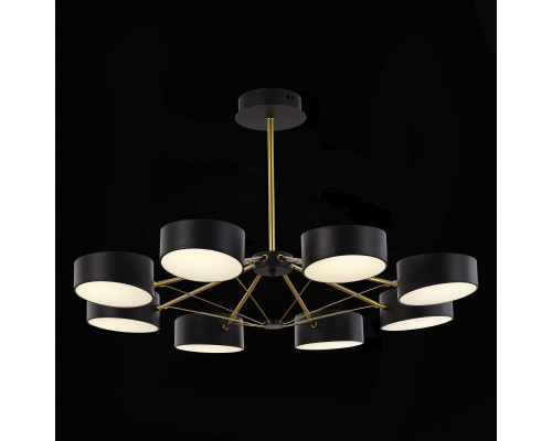 Сделать заказ Люстра на штанге Evoluce SLE6005-402-08| VIVID-LIGHT.RU