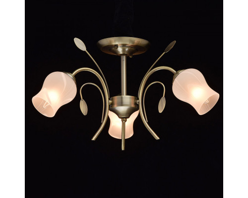 Сделать заказ Люстра на штанге MW-Light 256018103| VIVID-LIGHT.RU