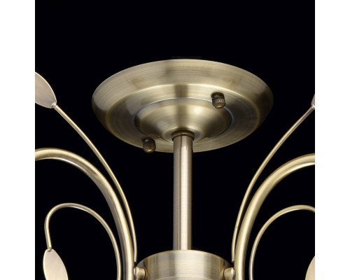 Сделать заказ Люстра на штанге MW-Light 256018103| VIVID-LIGHT.RU