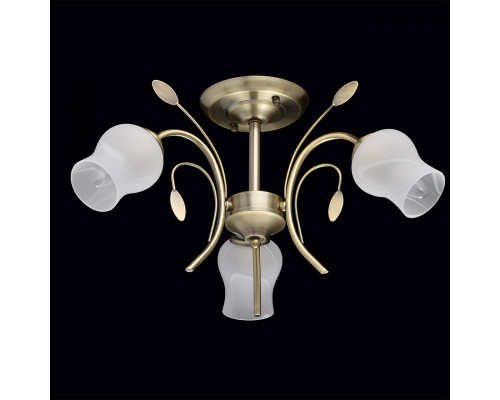 Сделать заказ Люстра на штанге MW-Light 256018103| VIVID-LIGHT.RU