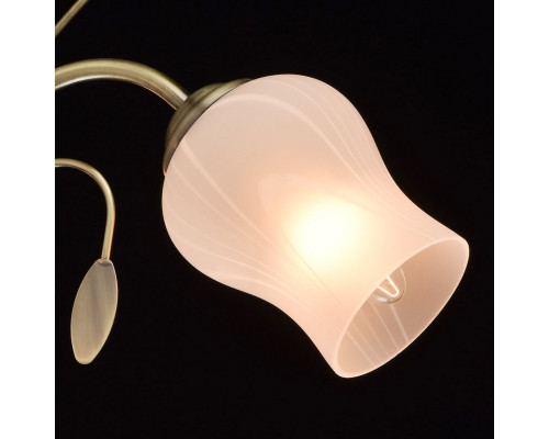 Сделать заказ Люстра на штанге MW-Light 256018103| VIVID-LIGHT.RU