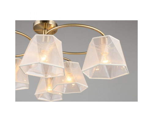 Заказать Люстра на штанге Omnilux OML-65017-06| VIVID-LIGHT.RU