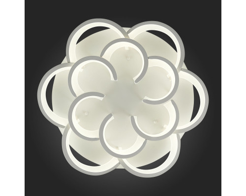 Оформить заказ Люстра на штанге Evoluce SLE200502-12| VIVID-LIGHT.RU