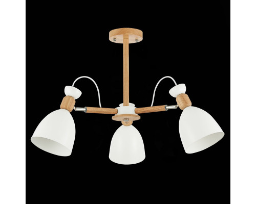 Сделать заказ Люстра на штанге Evoluce SLE103802-03| VIVID-LIGHT.RU