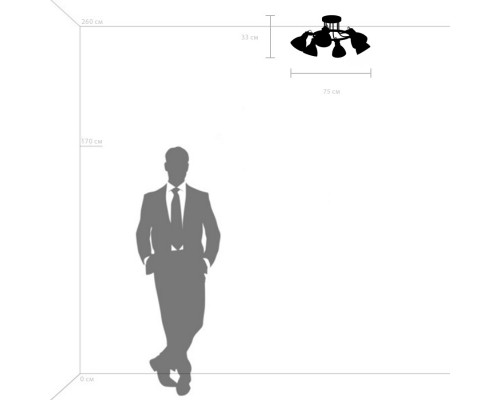 Оформить заказ Люстра на штанге Lightstar 761063| VIVID-LIGHT.RU