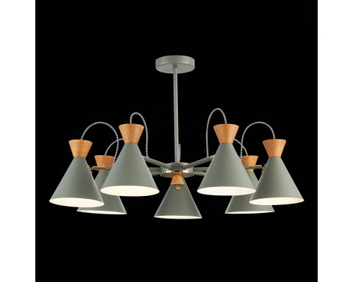 Заказать Люстра на штанге Evoluce SLE125112-07| VIVID-LIGHT.RU