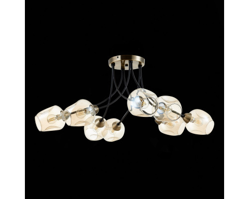 Заказать Люстра на штанге Evoluce SLE205302-08| VIVID-LIGHT.RU