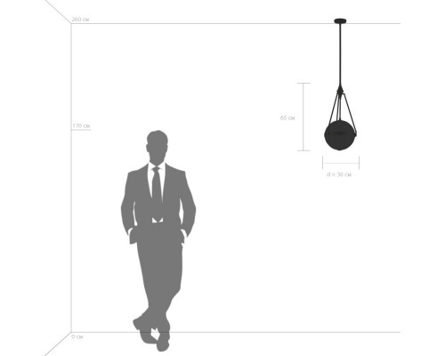 Заказать Люстра на штанге Lightstar 816037| VIVID-LIGHT.RU