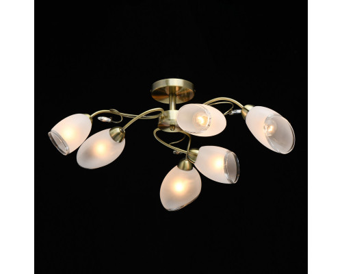 Заказать Люстра на штанге MW-Light 372014006| VIVID-LIGHT.RU