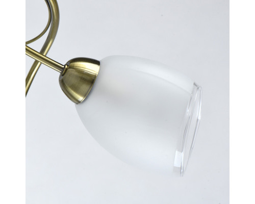 Заказать Люстра на штанге MW-Light 372014006| VIVID-LIGHT.RU